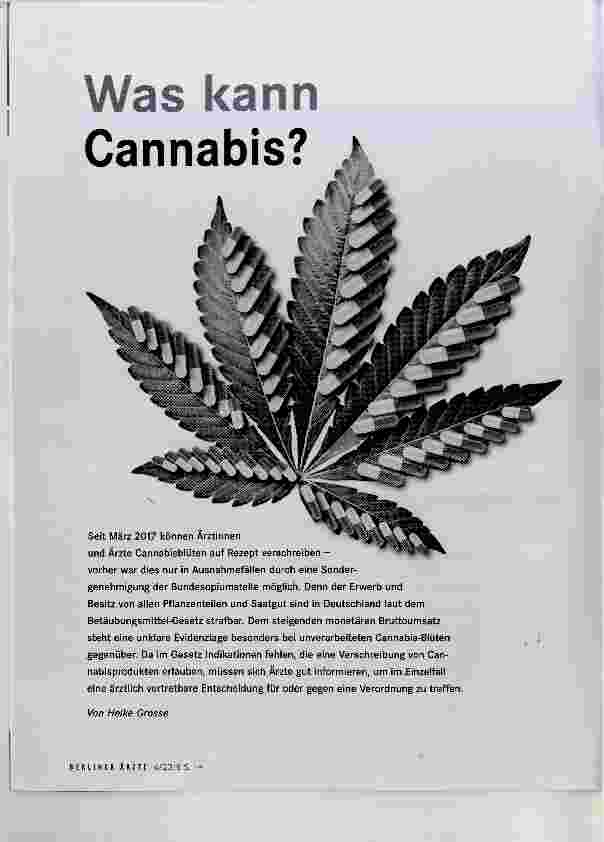 Vorschauseite 1: Was kann Cannabis?