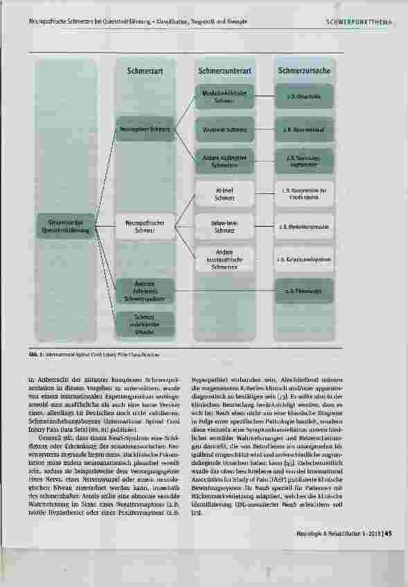 Vorschauseite 3: Neuropathische Schmerzen bei Querschnittlähmung - Klassifikation, Diagnostik und Therapie
