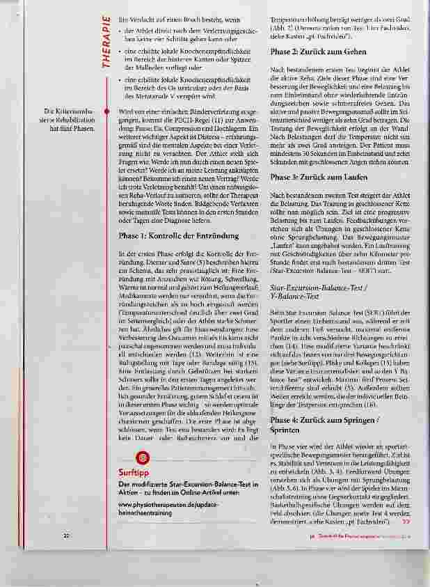 Vorschauseite 3: Inversionstrauma effektiv therapieren