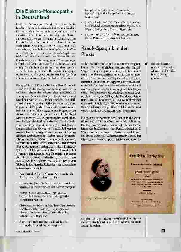Vorschauseite 3: 100 Jahre Elektro-Homöopathie Nach Graf Cesare Mattei und Theodor Kraufe