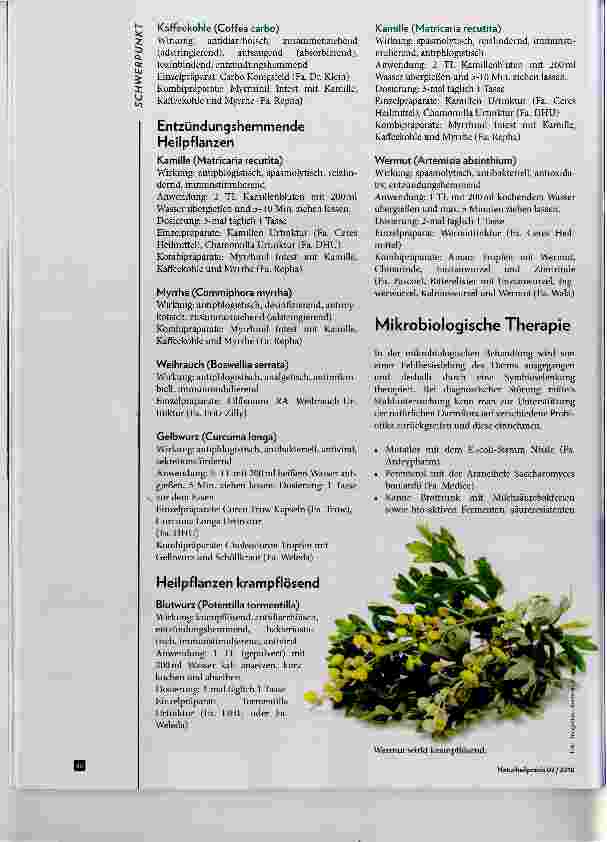 Vorschauseite 3: CED - Chronisch-entzündliche Darmerkrankungen
