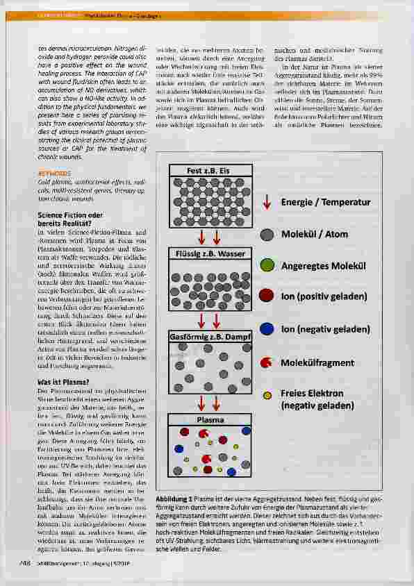 Vorschauseite 2: Physikalisches Plasma: Science Fiction oder eine neue Option in der Wundbehandlung?