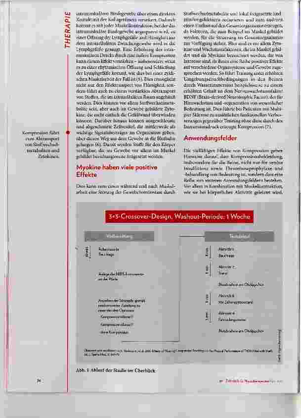Vorschauseite 3: Training mit Kompressionskleidung bei Patienten mit Diabetes und Metabolischem Syndrom