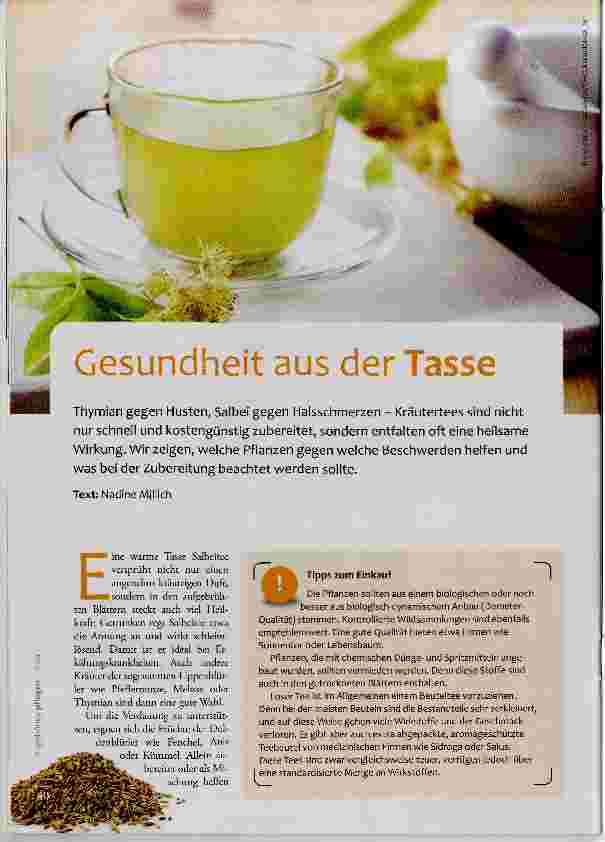 Vorschauseite 1: Gesundheit aus der Tasse