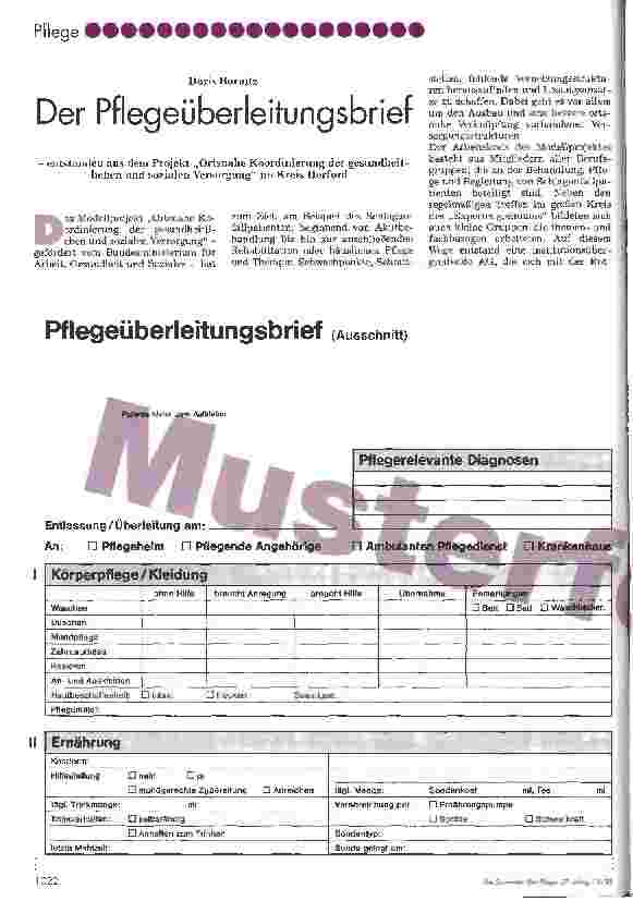Vorschauseite 1: Der Pflegeüberleitungsbrief