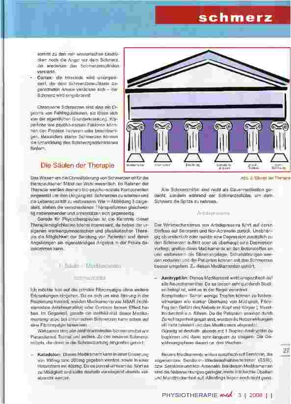 Vorschauseite 3: Fibromyalgieschmerz die rätselhafte KrankheitTeil II - Die Säulen der Therapie