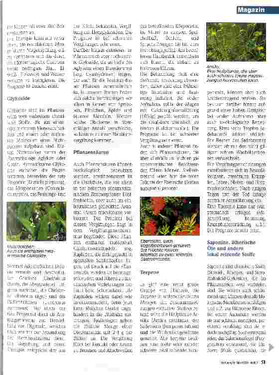 Vorschauseite 2: Gifte einheimischer Pflanzen 3. Teil