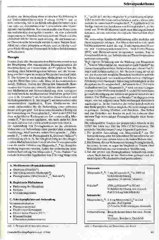 Vorschauseite 2: Die postpartale Uterusatonie