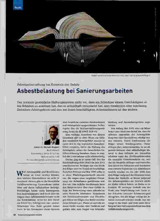 Vorschauseite 1: Asbestbelastung bei Sanierungsarbeiten