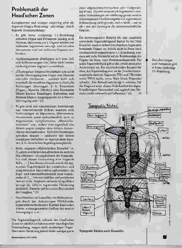 Vorschauseite 2: Segmentdiagnose