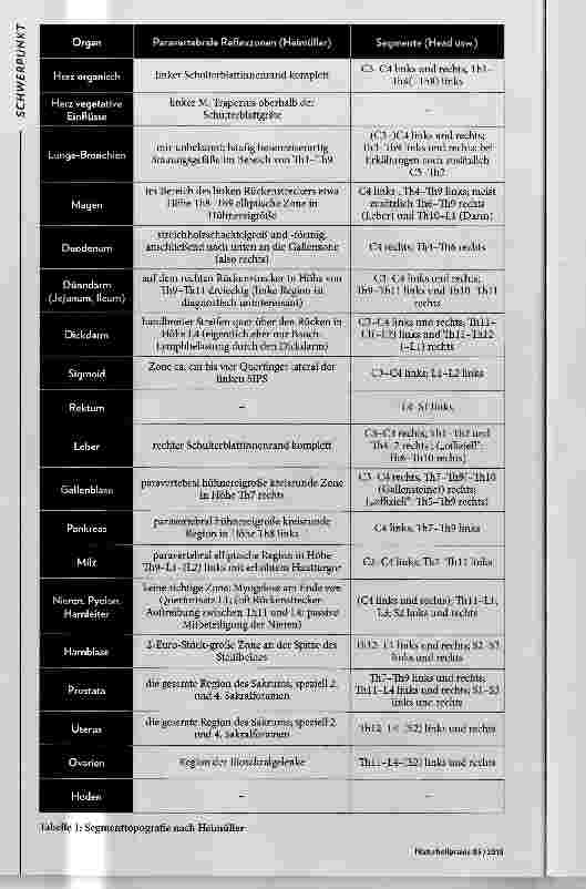 Vorschauseite 3: Segmentdiagnose
