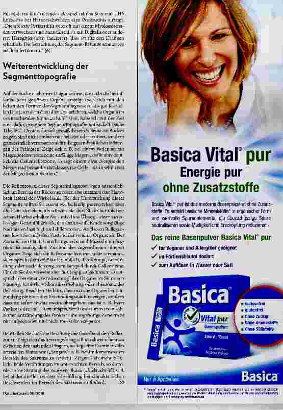 Vorschauseite 4: Segmentdiagnose
