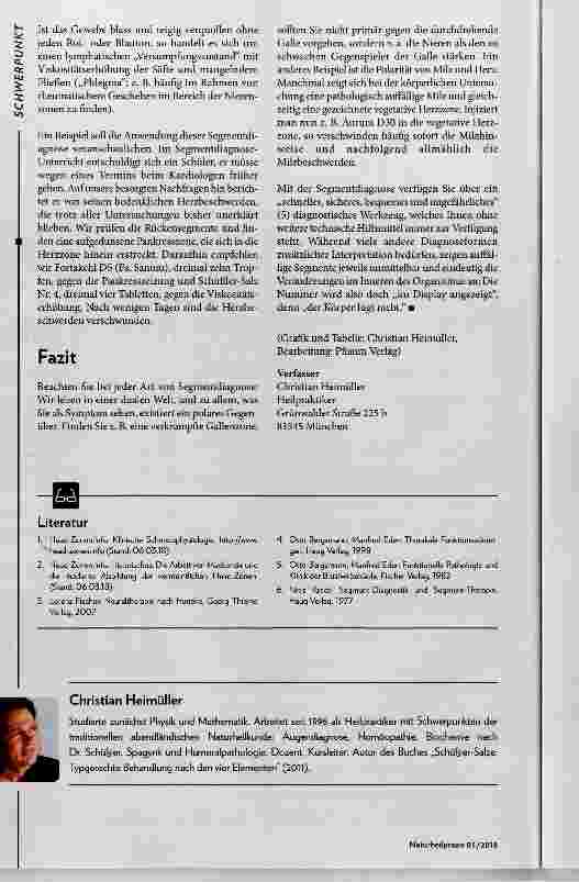Vorschauseite 5: Segmentdiagnose