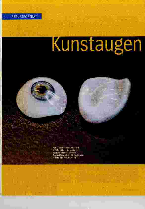 Vorschauseite 1: Kunstaugen aus Meisterhand