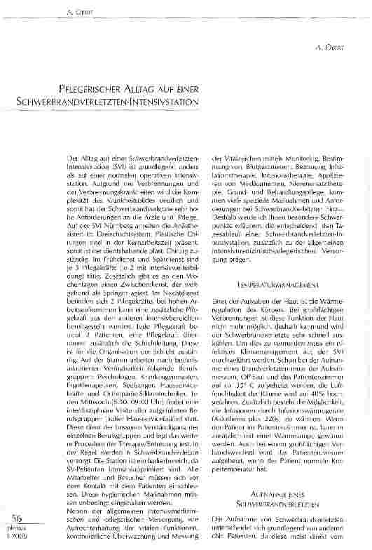 Vorschauseite 1: PFLEGERISCHER ALLTAG AUF EINER SCHWERBRANDVERLETZTEN-LNTENSIVSTATLON