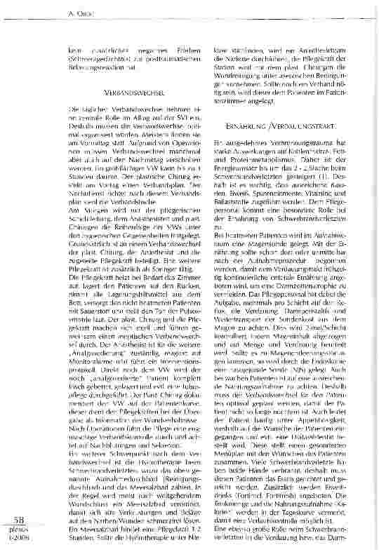 Vorschauseite 3: PFLEGERISCHER ALLTAG AUF EINER SCHWERBRANDVERLETZTEN-LNTENSIVSTATLON