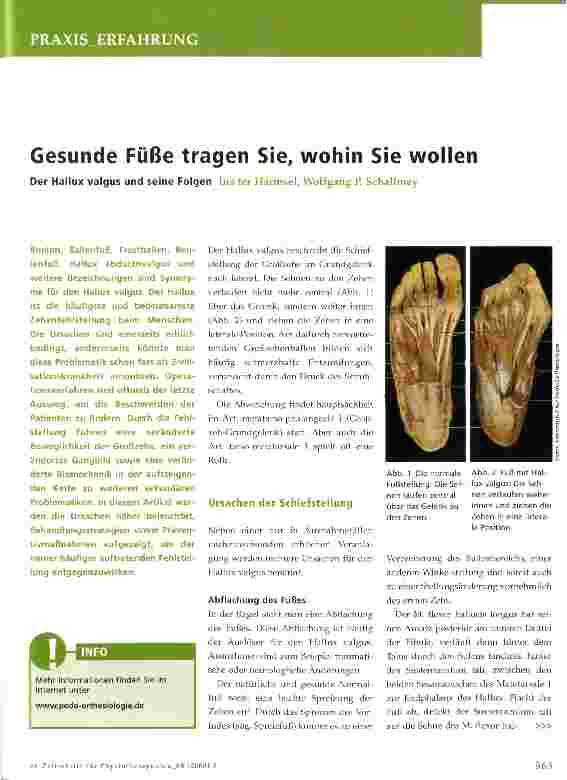 Vorschauseite 1: Gesunde Füße tragen Sie, wohin Sie wollen