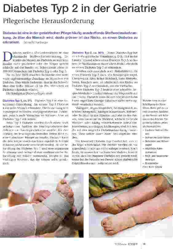 Vorschauseite 1: Diabetes Typ 2 in der Geriatrie- Pflegerische Herausforderung