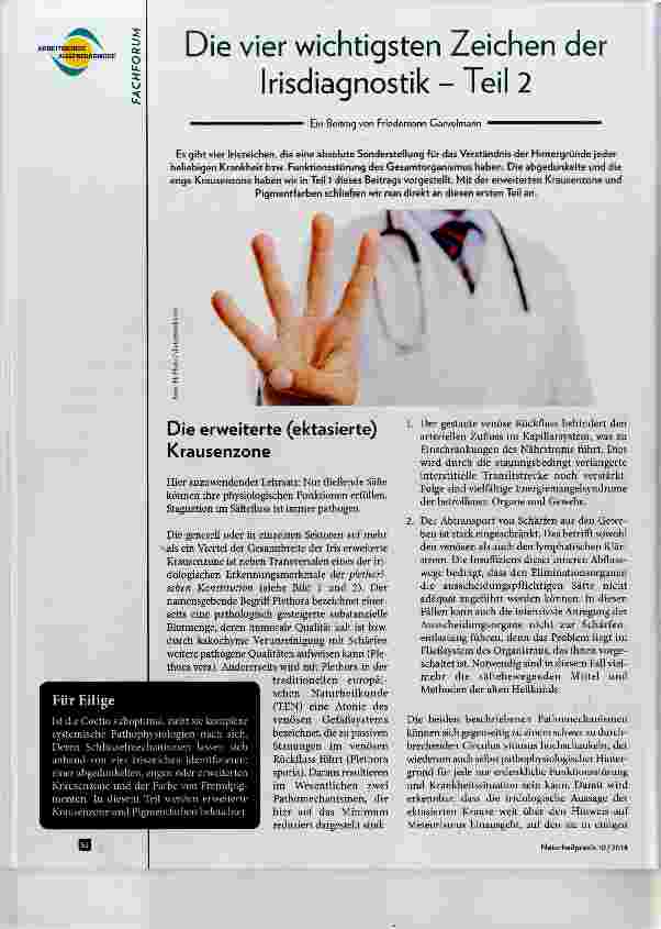 Vorschauseite 1: Die vier wichtigsten Zeichen der Irisdiagnostik Teil 2