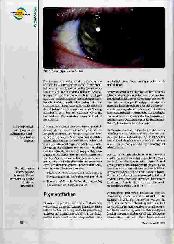 Vorschauseite 3: Die vier wichtigsten Zeichen der Irisdiagnostik Teil 2