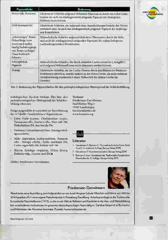 Vorschauseite 4: Die vier wichtigsten Zeichen der Irisdiagnostik Teil 2