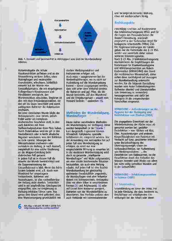 Vorschauseite 2: Die Reinigung und Versorgung von Wunden (|) aus hygienischer Sicht