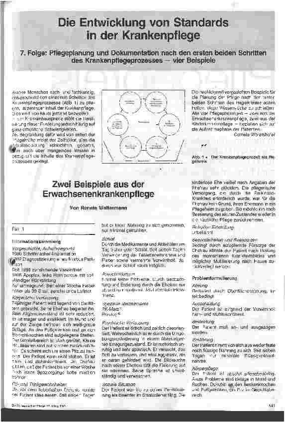 Vorschauseite 1: Die Entwicklung von Pflegestandards in der Krankenpflege/Pflegeplanung u. Dokumentation nach den ersten beiden Schritten des Pflegeprozesses