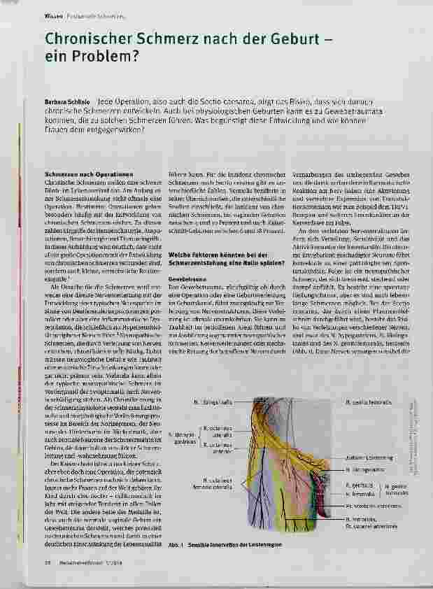 Vorschauseite 1: Chronischer Schmerz nach der Geburt ein Problem?