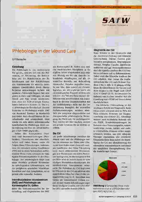 Vorschauseite 1: Phlebologie in der Wound Care