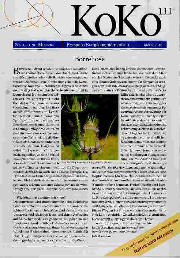 Vorschauseite 1: Borreliose