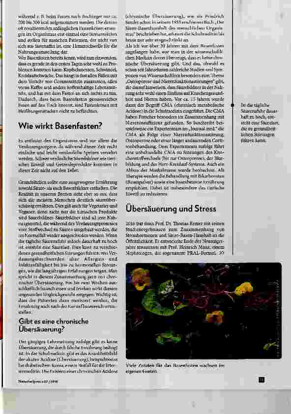 Vorschauseite 2: Basenfasten