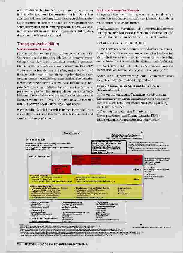 Vorschauseite 2: SCHMERZ EIN THEMA FÜR „JEDERMANN BEGLEITUNG BEI SCHMERZEN EINE LEBENSLANGE AUFGABE
