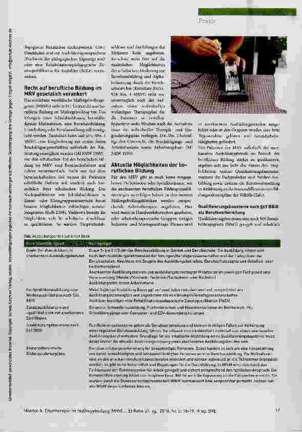 Vorschauseite 2: Berufliche Bildung als therapeutisches Potenzial begreifen