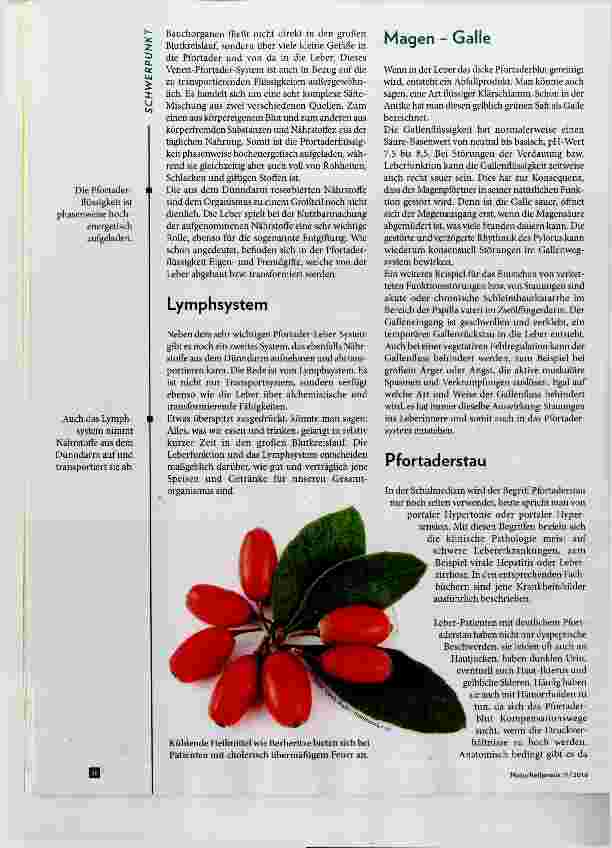 Vorschauseite 3: Pfortaderstau