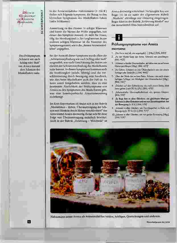 Vorschauseite 2: Kann Arnica montana Muskelkater lindern?
