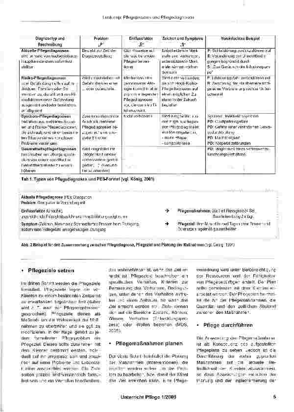 Vorschauseite 4: Pflegeprozess und Pflegediagnosen