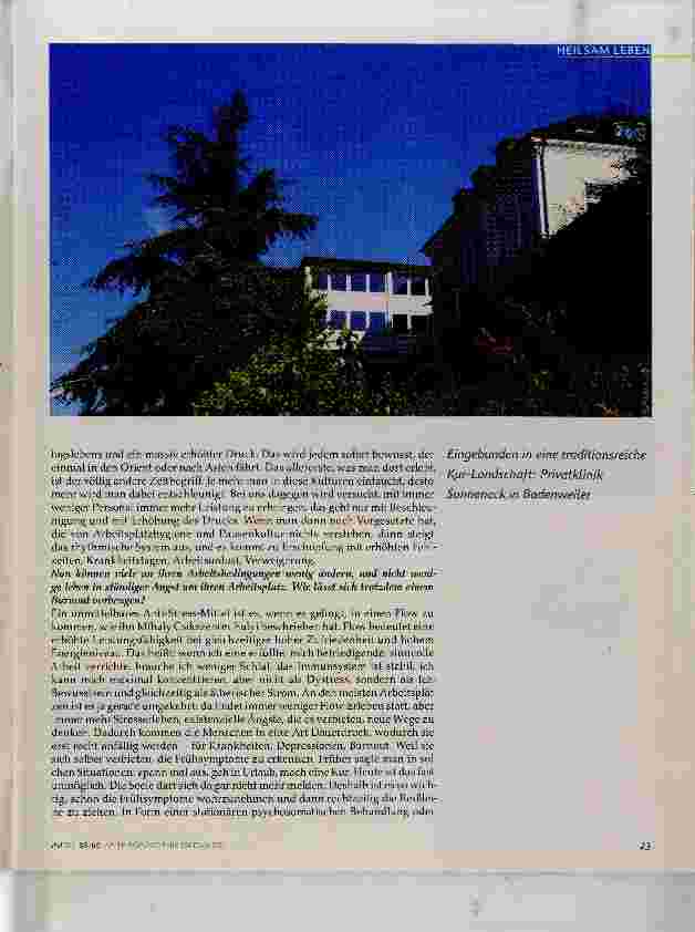 Vorschauseite 4: Herzinfarkt der Seele
