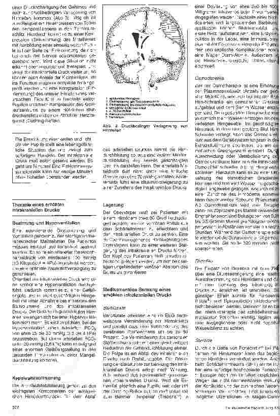 Vorschauseite 2: Die Therapie des Hirnödems