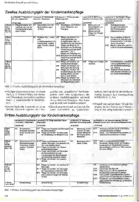 Vorschauseite 2: Evaluation der Kinderkrankenpflegeausbildung nach modifiziertem Oelke-Curriculum