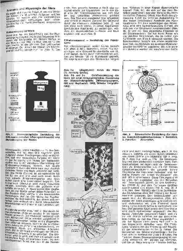 Vorschauseite 2: Praxis der Nephrologie 1. Folge