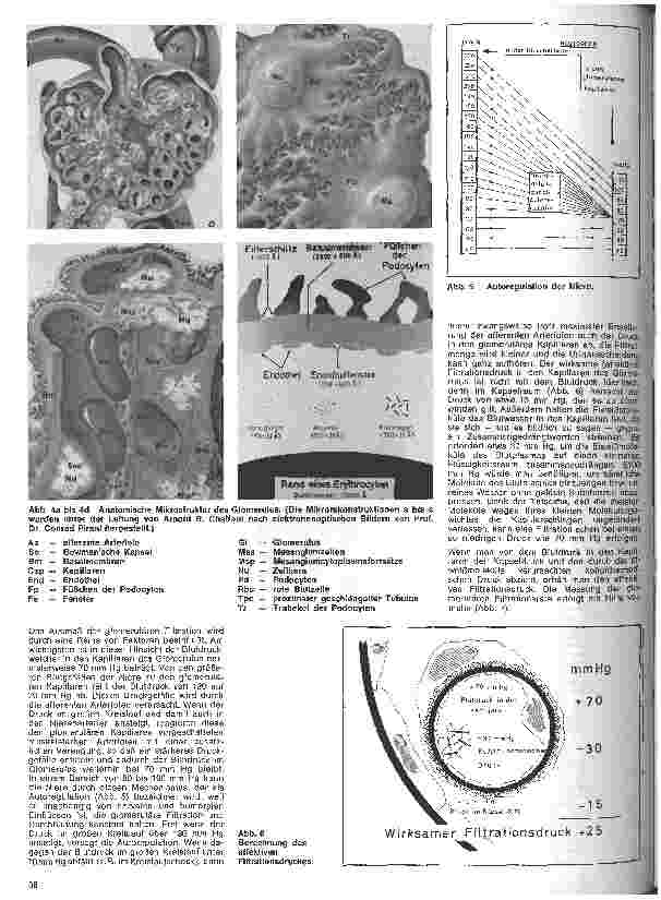 Vorschauseite 3: Praxis der Nephrologie 1. Folge