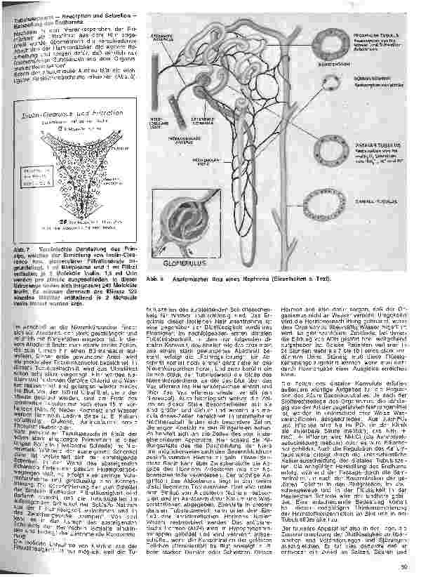 Vorschauseite 4: Praxis der Nephrologie 1. Folge