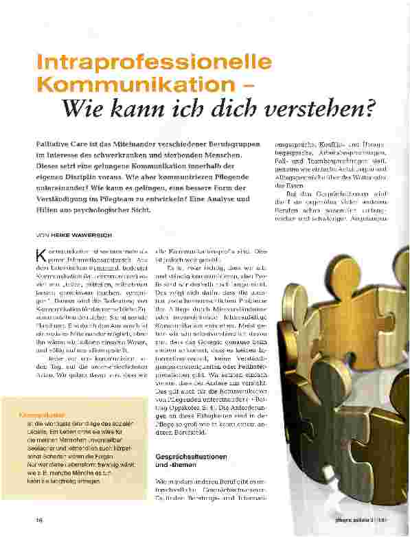 Vorschauseite 1: Intraprofessionelle Kommunikation - Wie kann ich dich verstehen?