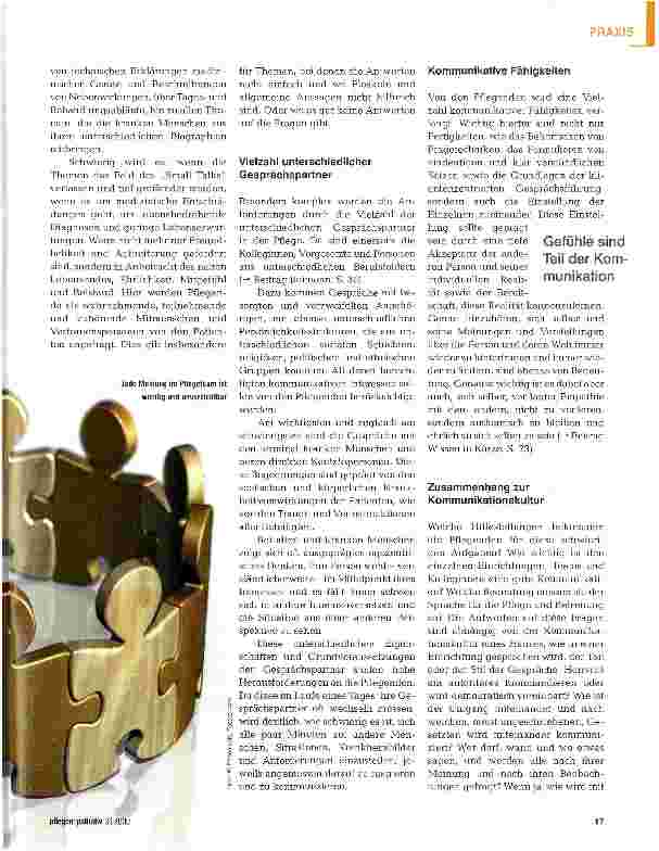 Vorschauseite 2: Intraprofessionelle Kommunikation - Wie kann ich dich verstehen?