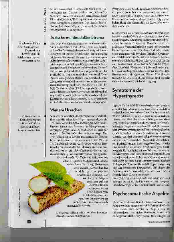 Vorschauseite 2: Über dem Limit