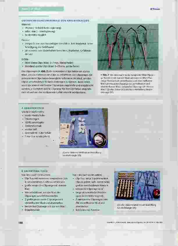 Vorschauseite 3: Aneurysma-Clipping