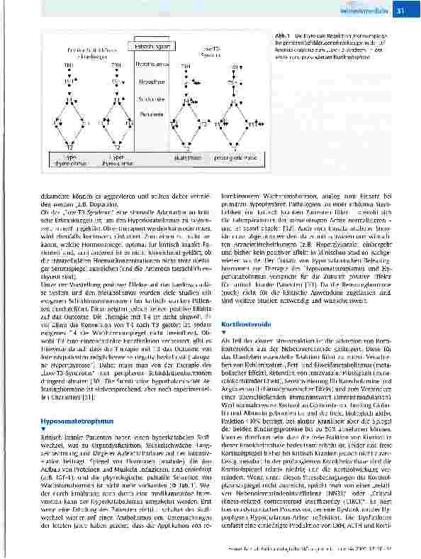 Vorschauseite 4: Endokrinologische Störungen bei Intensivpatienten