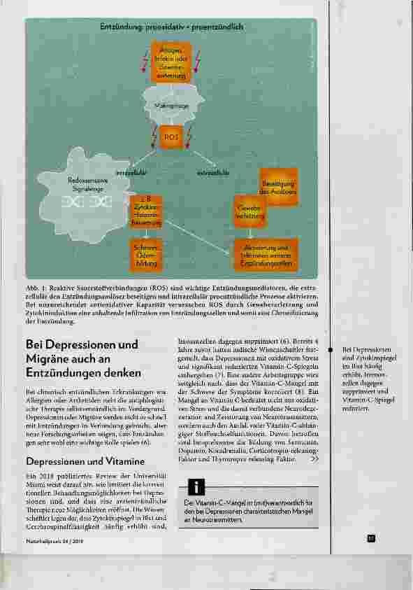 Vorschauseite 2: Entzündung ganz(heitlich) unter Kontrolle bringen