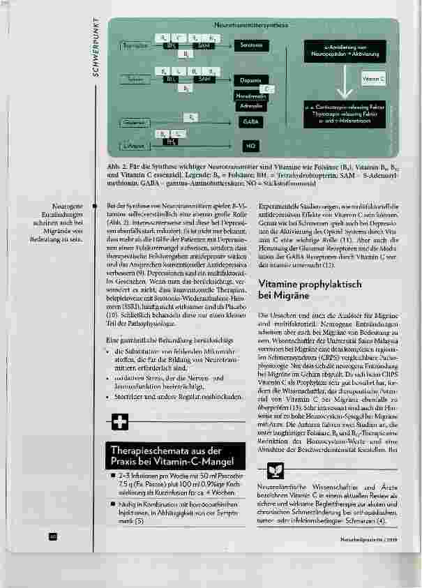 Vorschauseite 3: Entzündung ganz(heitlich) unter Kontrolle bringen