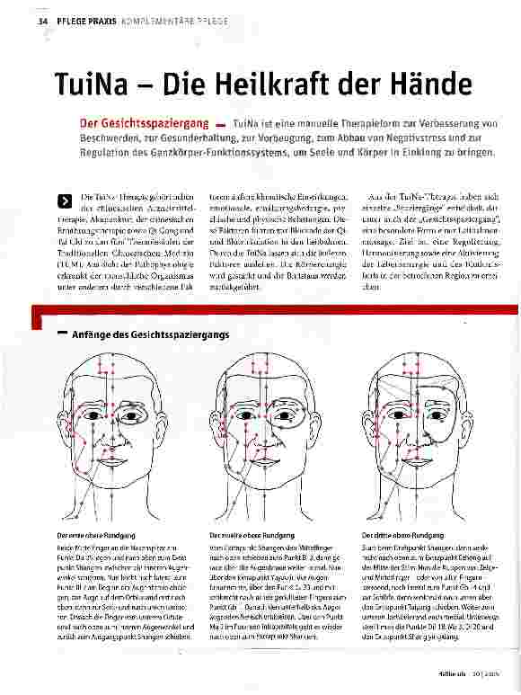 Vorschauseite 1: TuiNa - Die Heilkraft der Hände